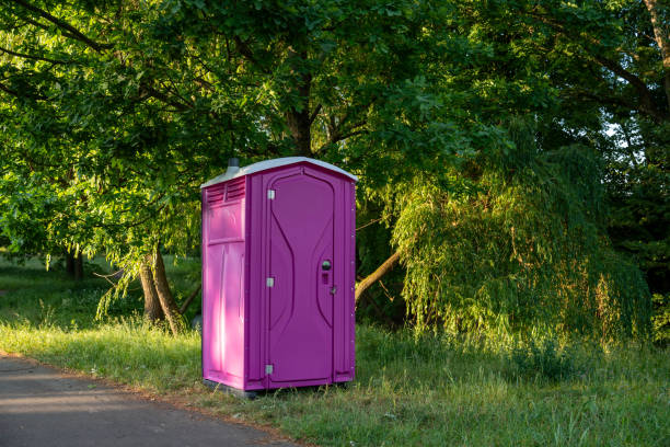 Best Porta potty cleaning services  in Vla Park, IL